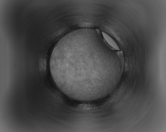 X0000095680211200801291204