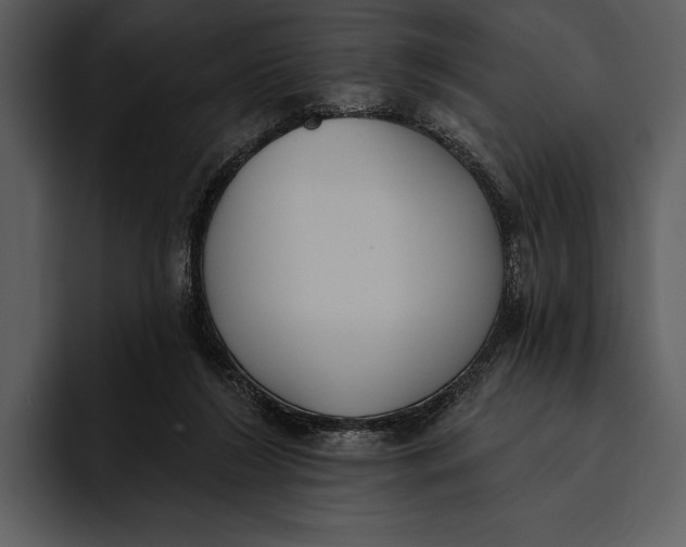 X0000095680212200801291204