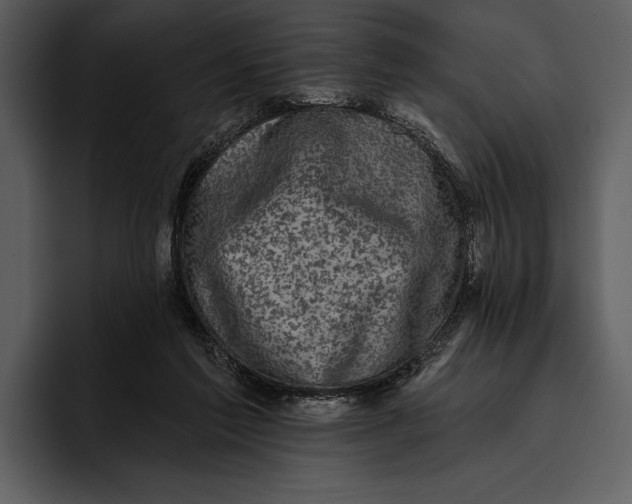 X0000095680213200801291204