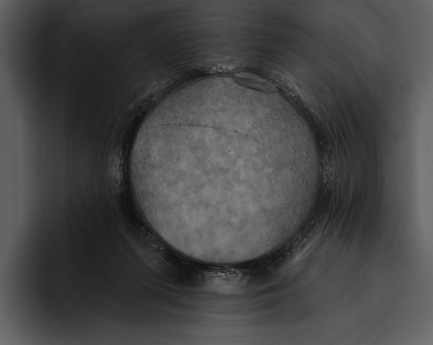 X0000095680215200801291204