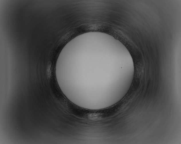 X0000095680216200801291203