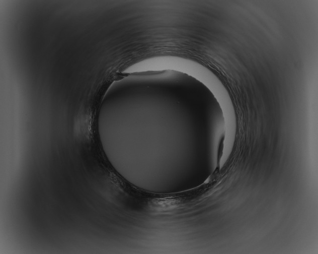 X0000095680219200801291203