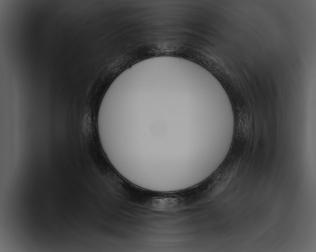 X0000095680220200801291203