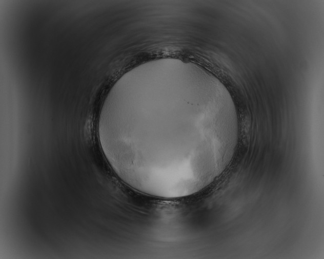 X0000095680222200801291203