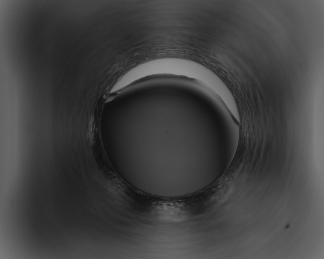 X0000095680223200801291203