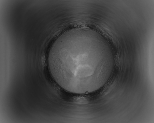 X0000095680224200801291203