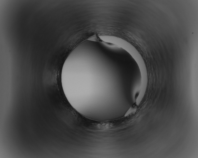 X0000095680225200801291203