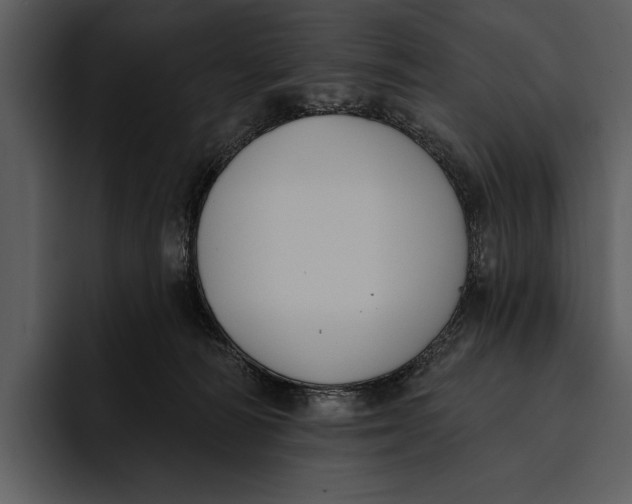 X0000095680226200801291203