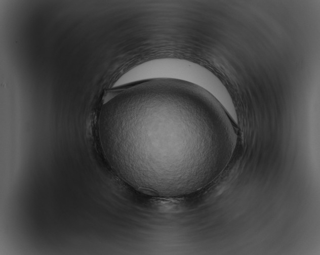 X0000095680229200801291203