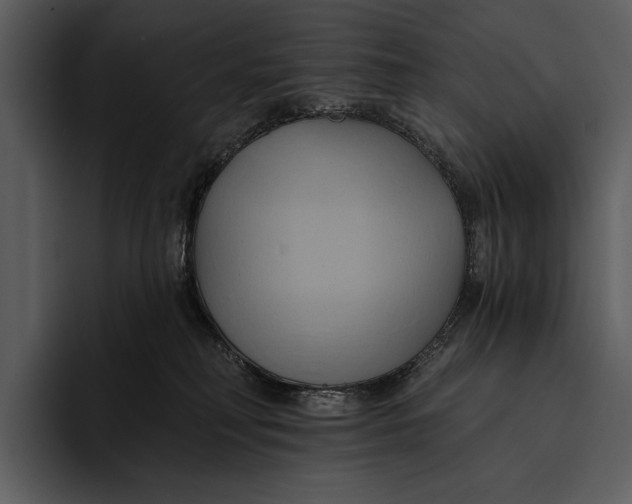 X0000095680230200801291203