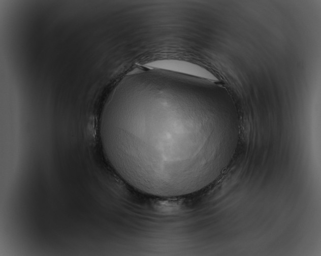 X0000095680232200801291203