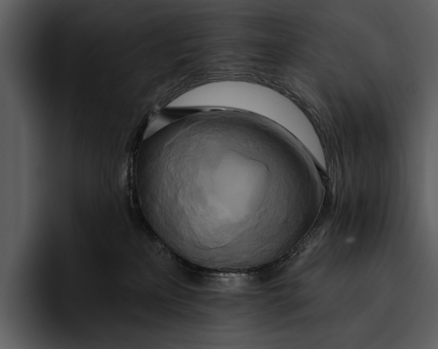 X0000095680233200801291203