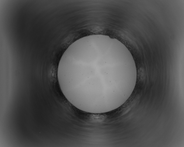 X0000095680234200801291203