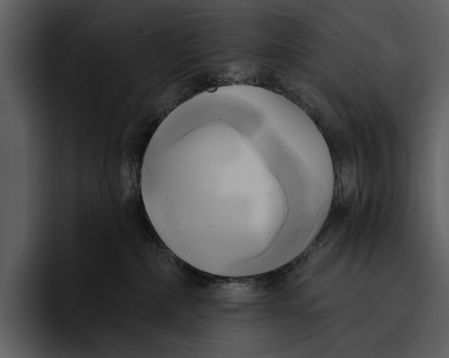 X0000095680236200801291203