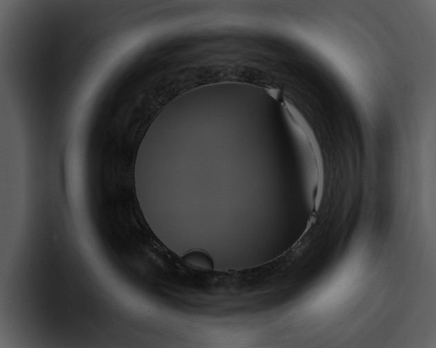 X0000095680239200801291203