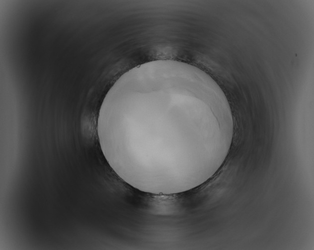 X0000095680240200801291203