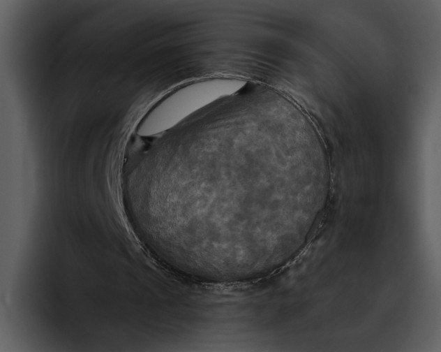 X0000095680241200801291203