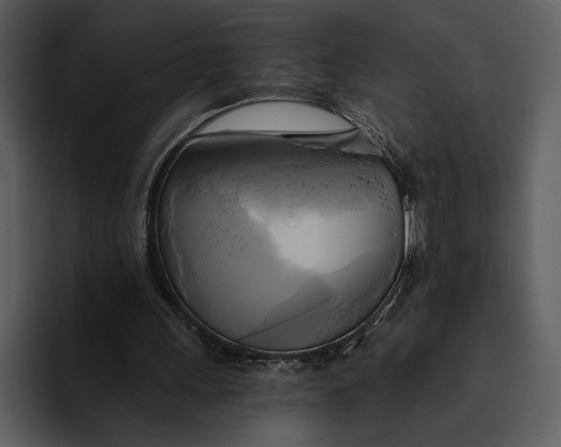 X0000095680243200801291203