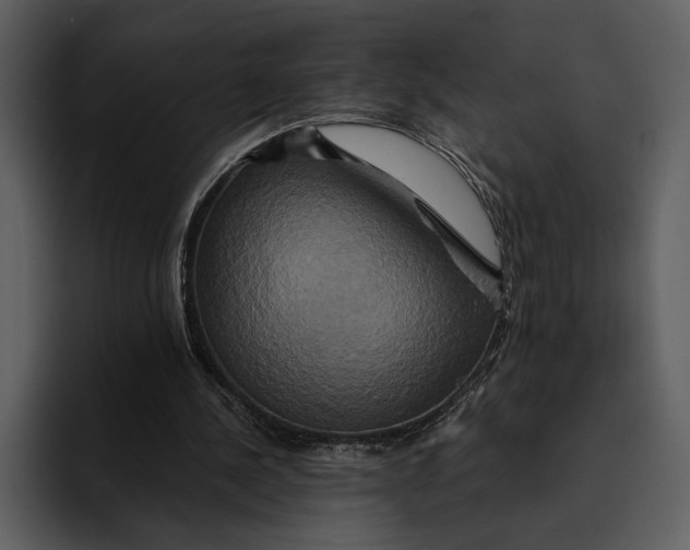 X0000095680244200801291203