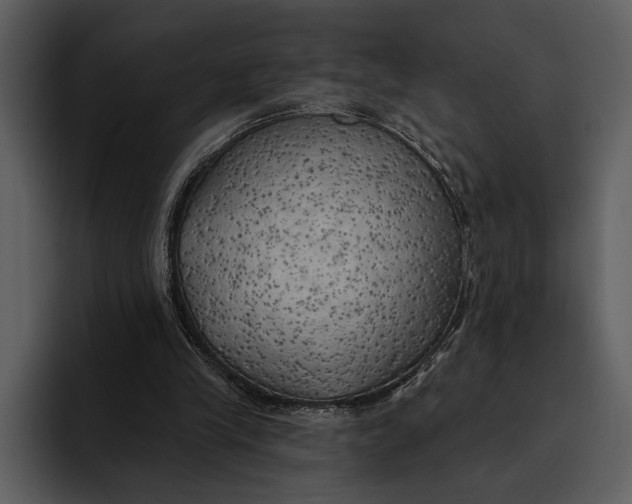 X0000095680245200801291203