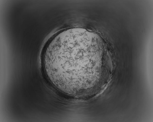 X0000095680246200801291203