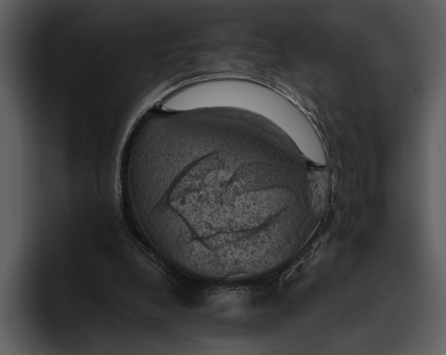 X0000095680248200801291203