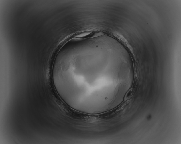 X0000095680249200801291203