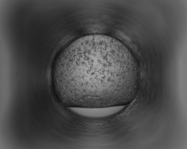 X0000095680250200801291203