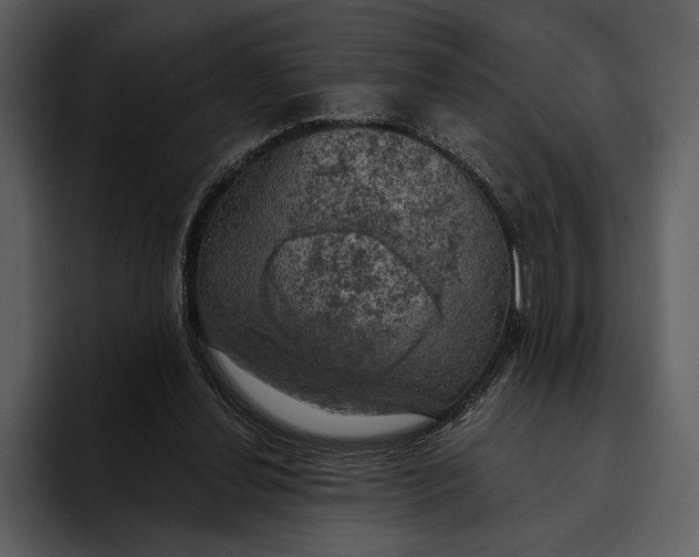 X0000095680252200801291203