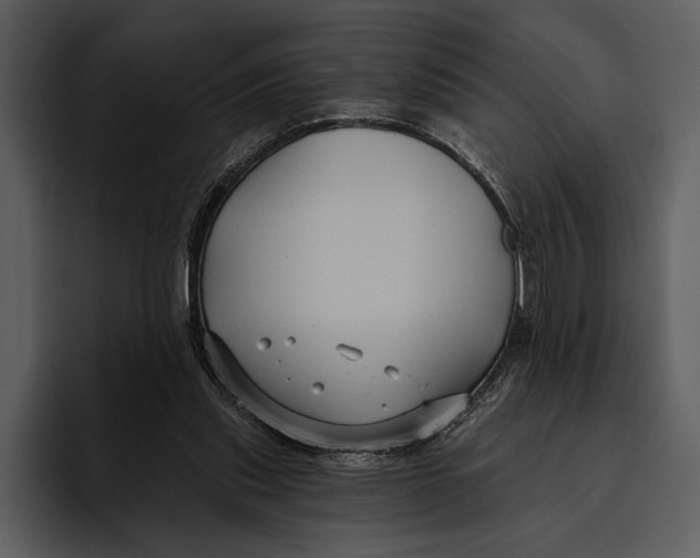 X0000095680253200801291203