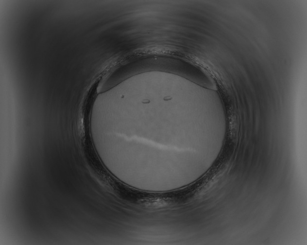 X0000095680254200801291203