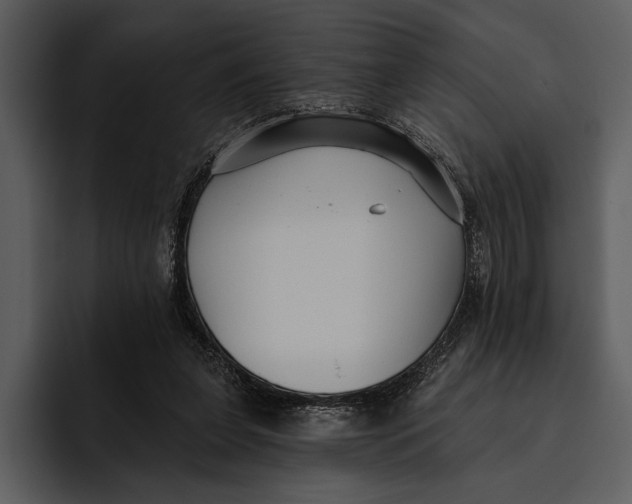 X0000095680255200801291203