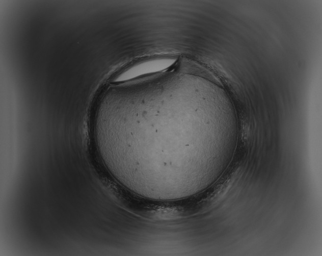 X0000095680256200801291203