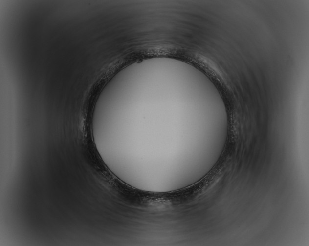 X0000095680258200801291203