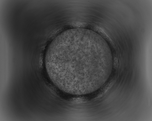 X0000095680259200801291203