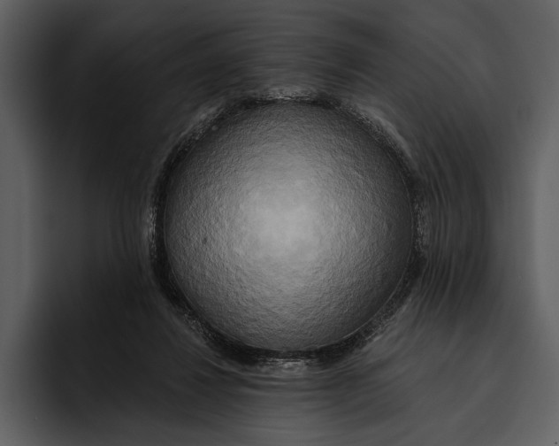 X0000095680260200801291203