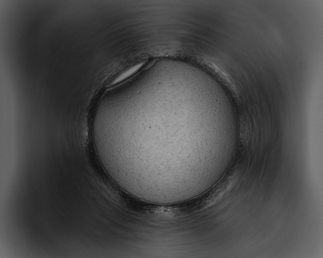 X0000095680261200801291203