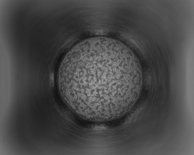 X0000095680262200801291203