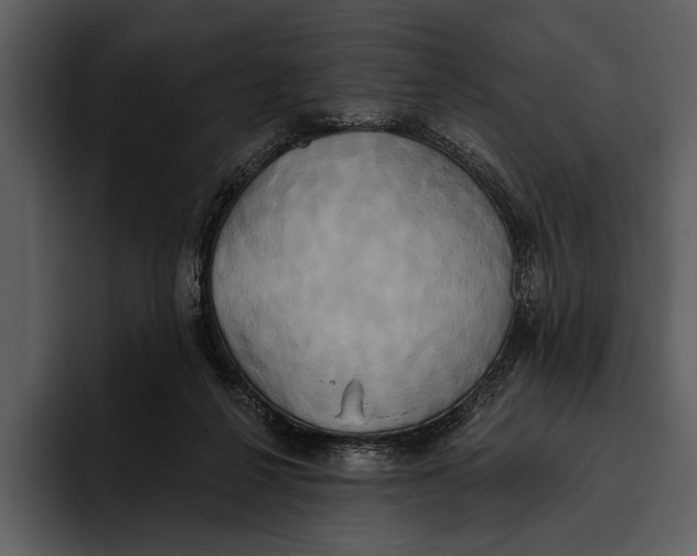 X0000095680264200801291203