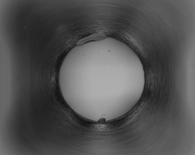 X0000095680265200801291203