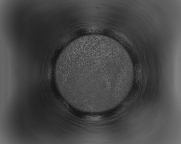 X0000095680266200801291203