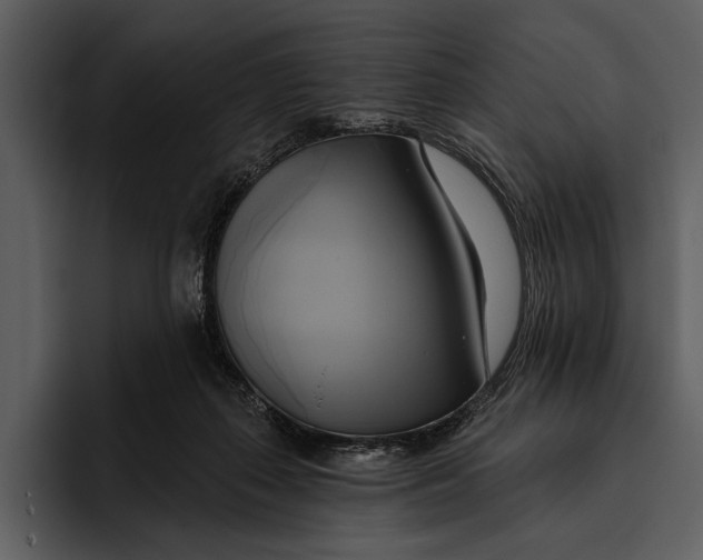 X0000095680267200801291203