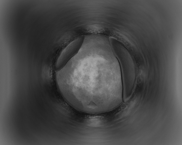 X0000095680268200801291203