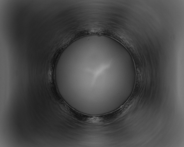 X0000095680269200801291203