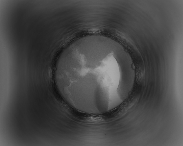 X0000095680270200801291203