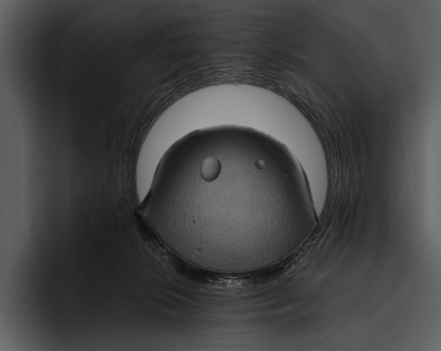 X0000095680276200801291203