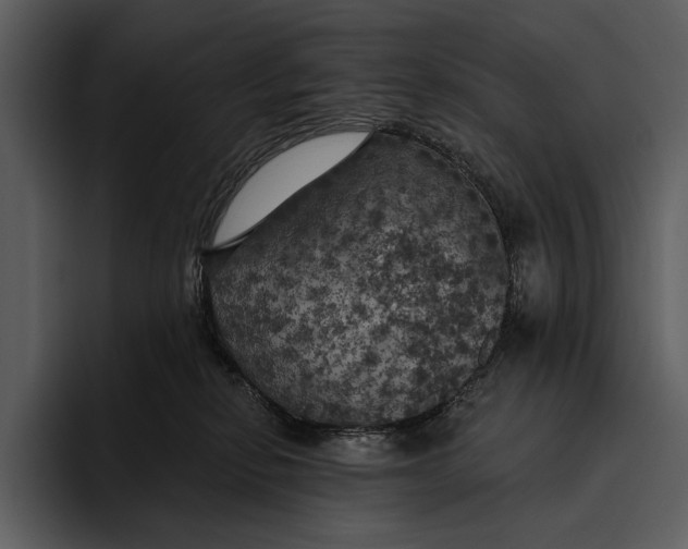 X0000095680278200801291203