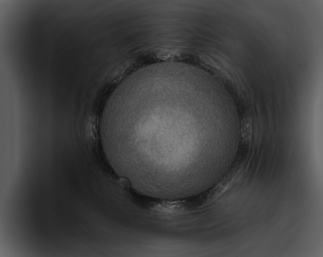 X0000095680280200801291203