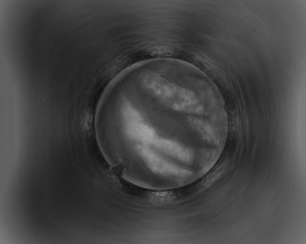 X0000095680281200801291203