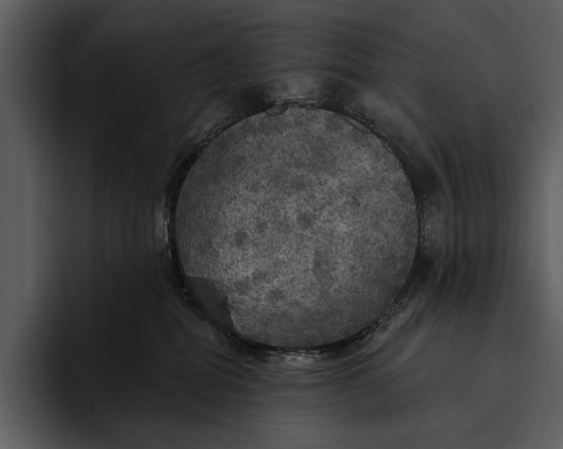 X0000095680282200801291203